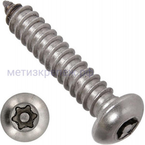 Саморез с полукруглой головкой DIN 7981 4,2х25 TORX-Pin T15, нержавеющая сталь А2